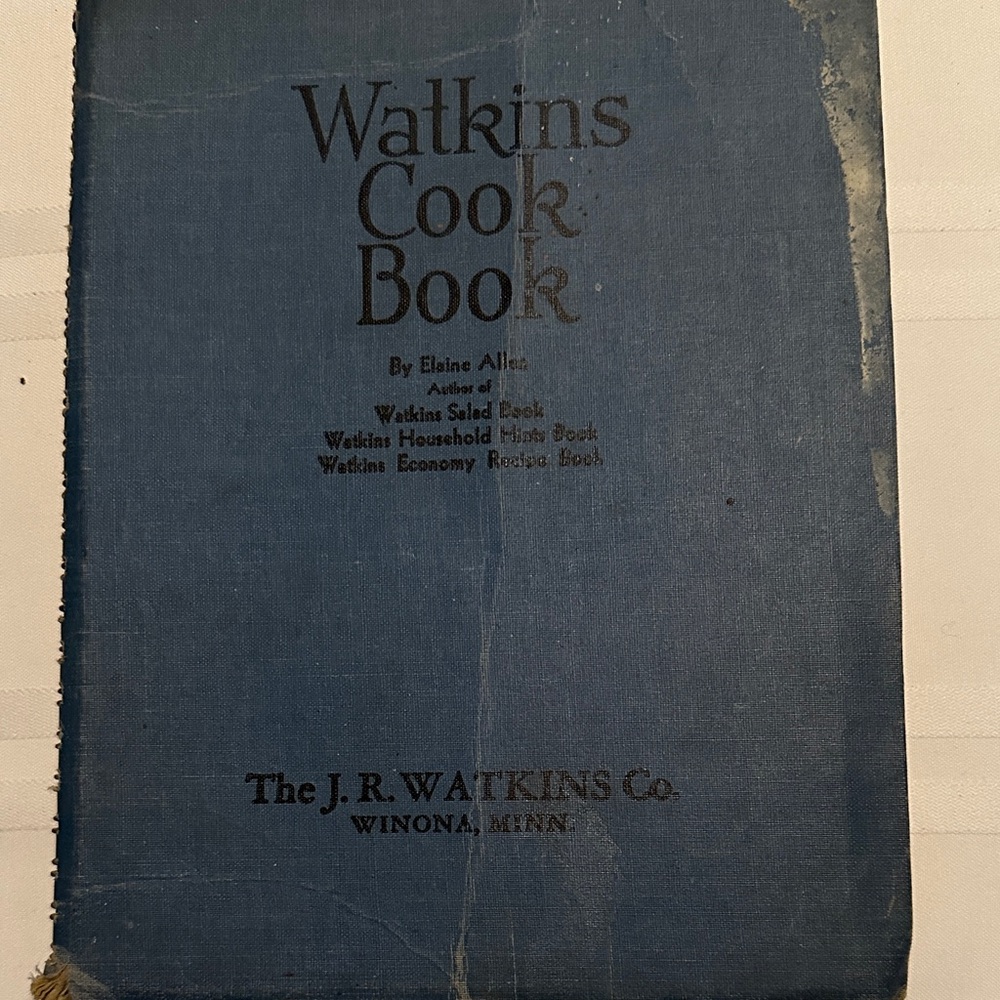 Vintage J. R. Watkins Blue Cook Book - Picture 2 of 11